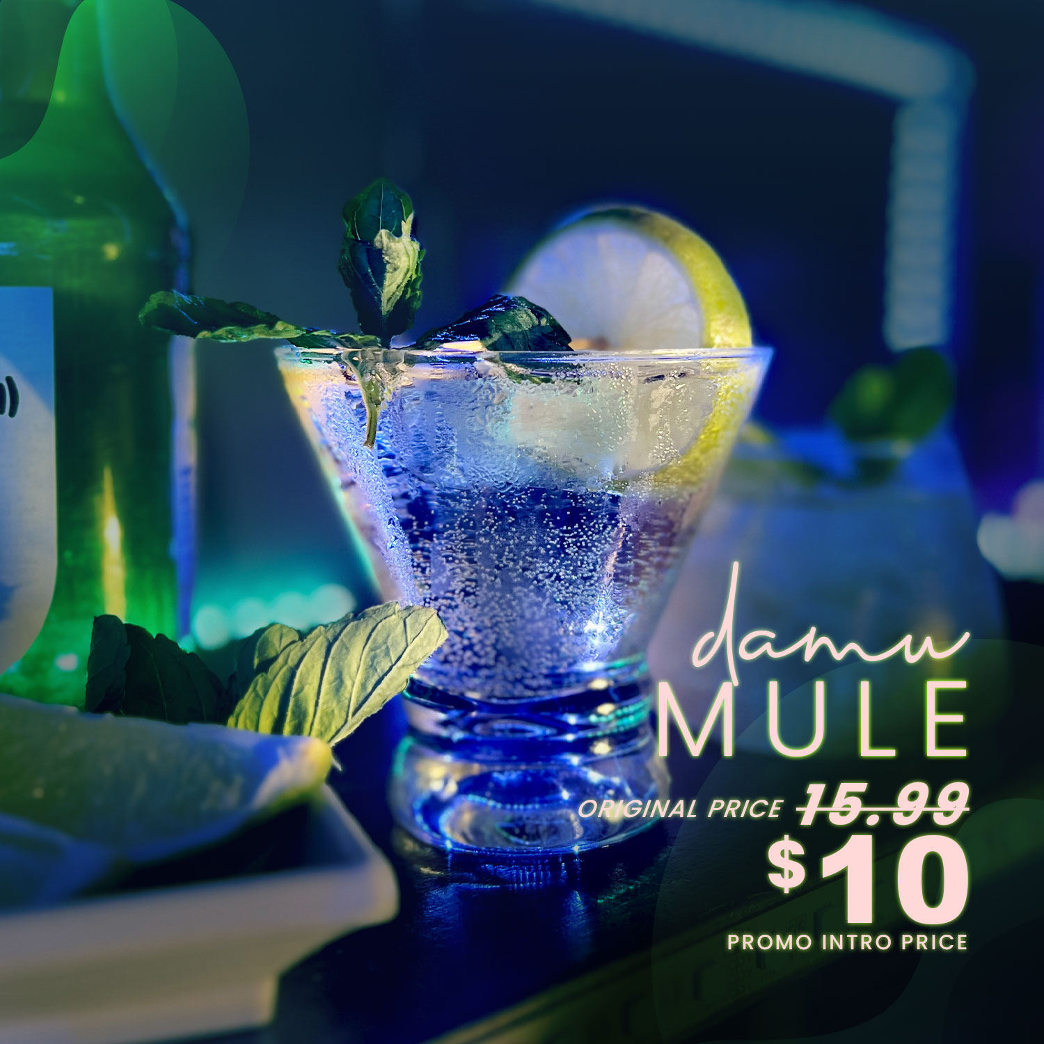 Damu Mule 2 Web